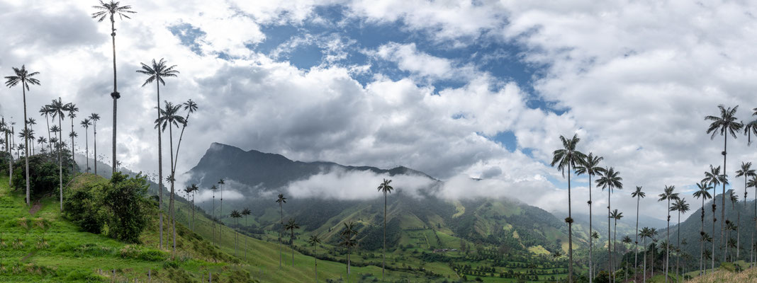 Vallée de Cocora