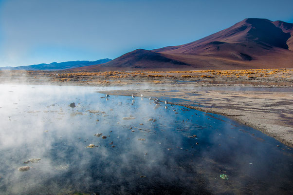 Laguna Polques