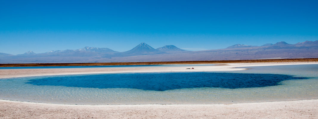 Laguna Cejar