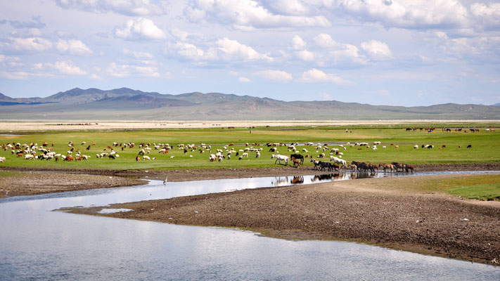 Parc national de Khögnö Khan