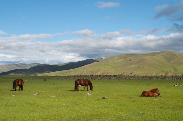 Vallée de l'Orkhon