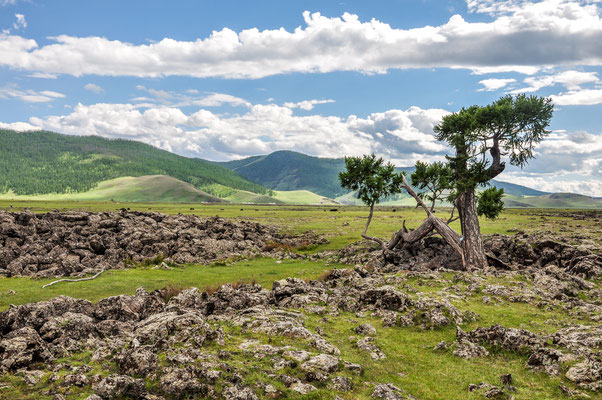 Vallée de l'Orkhon