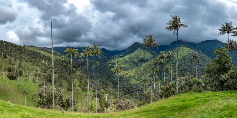 Vallée de Carbonera