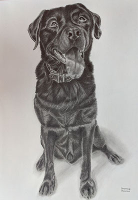 Tierportrait