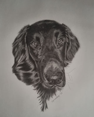 Tierportrait