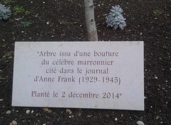 Place Marc Aron Lyon 3ème