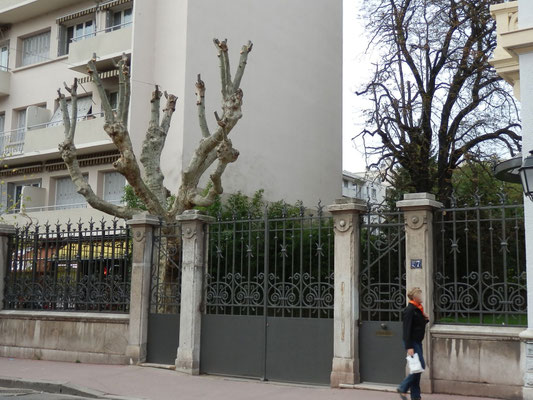 57 avenue des Frères Lumière, villa Winckler