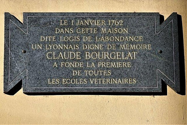 9 avenue Félix Faure Lyon 7ème