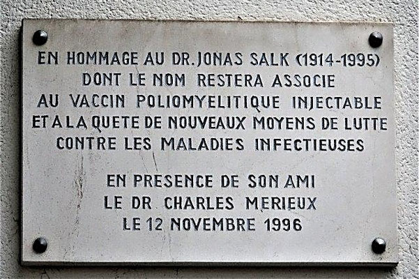 8 rue Jonas Salk Lyon 7ème