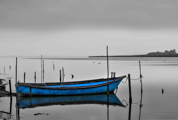 bateau bleu-bat-12