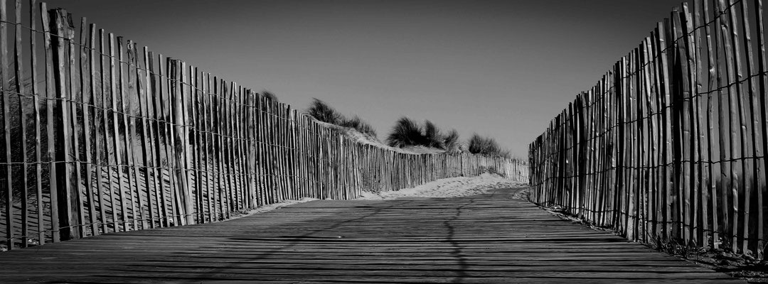 chemin à la plage-bw-33