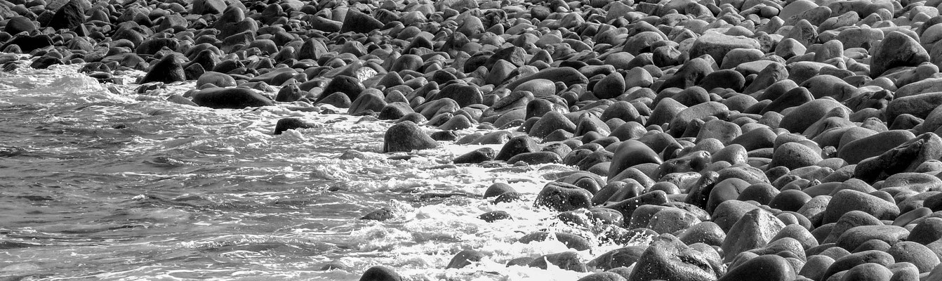 cailloux ou otaries-bw-14
