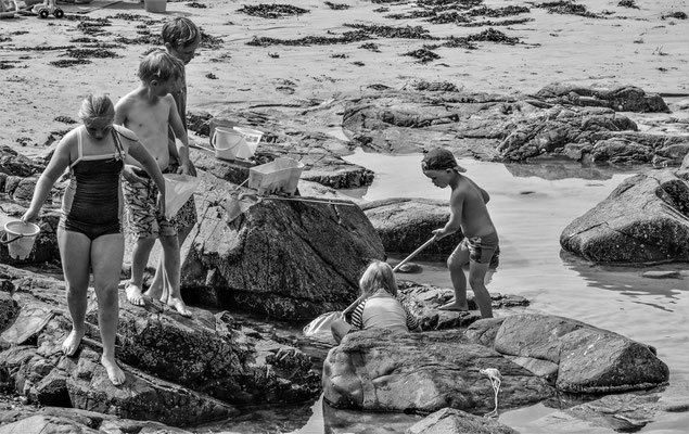 pêche aux crabes-per-18