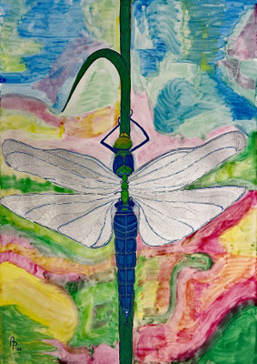 Libelle, 2026, Acryl/Faserschreiber auf Papier, 80cm x 60cm