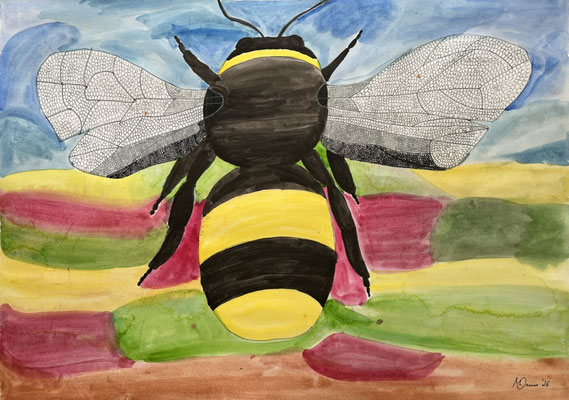 Hummel, 2026, Aquarell/Faserschreiber auf Papier, 60cm x 80cm