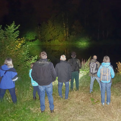 Am Fauerbachteich konnte auch eine Wasserfledermaus beobachtet werden.