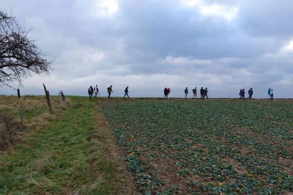 Auf dem Kamm des Roten Bergs