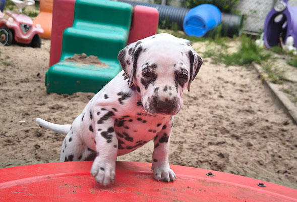 Miss Lila...21.05.2026