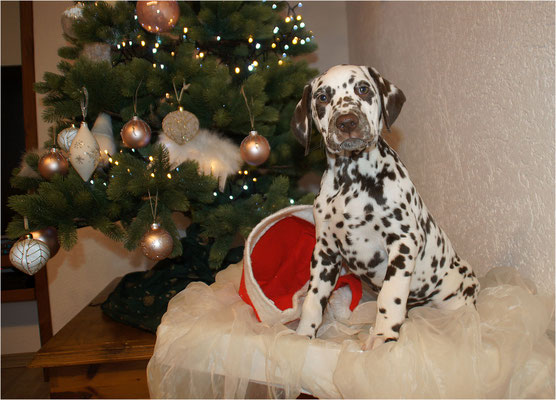 Norma N`Jeane von Abasko...24.12.2020