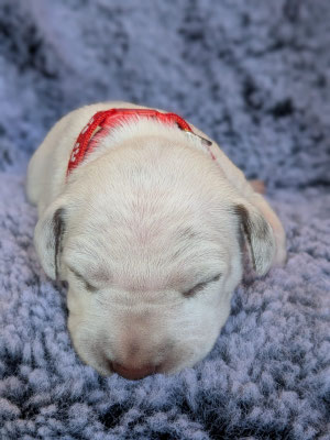 Mister Rot...25.04.2026