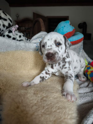 Miss Lila...10.05.2026