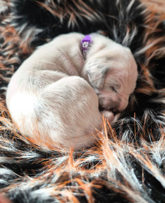 Miss Lila...28.04.2026
