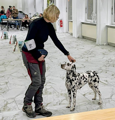 Norma N´Jeane von Abasko Oer-Erkenschwick V1 Anw.Ch.VDH, Anw.CAC CDF...06.12.2025
