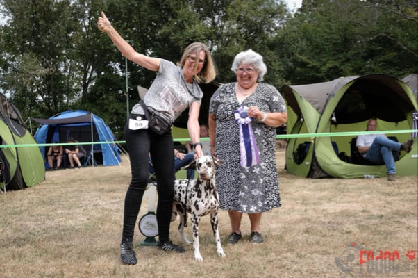 Norma N`Jeane von Abasko Hilden Zwischen Klasse V1 CAC...03.09.2022