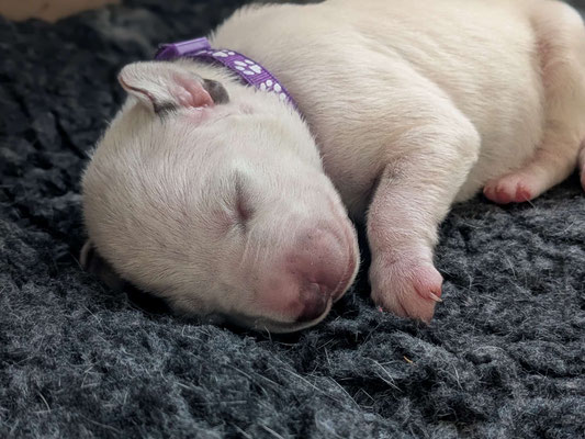 Miss Lila...22.04.2026