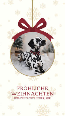Orry Main vom Furlbach...24.12.2024
