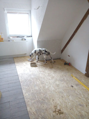 Inteaus vom Furlbach...05.11.2025