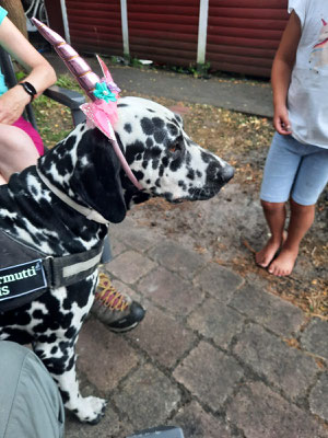 Omar Shariv vom Furlbach als Einhorn...07.07.2025