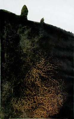 Bez tytułu, linoryt + sucha igła, 61/49 cm. Praca poplenerowa, 2007