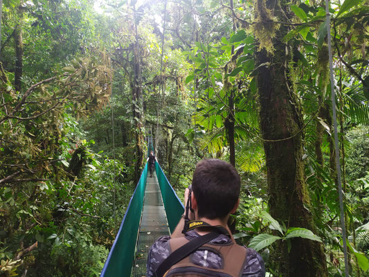 Metapicture in the hanging bridges