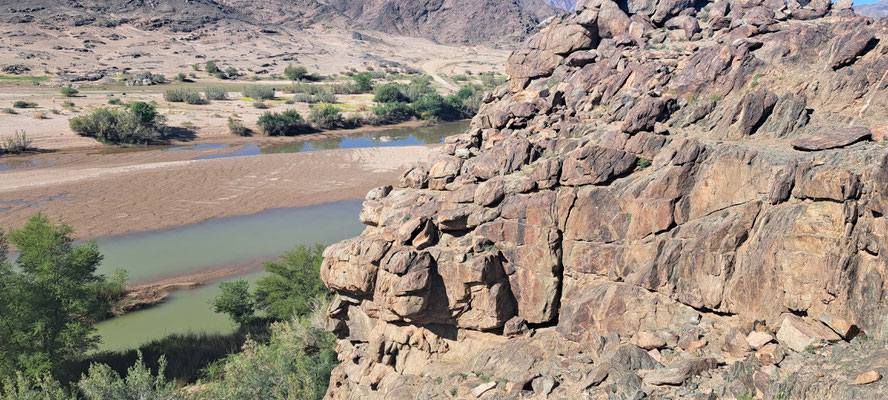 Flat Lizard habitat near the river. Yes, I had to climb.