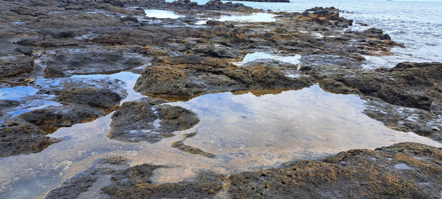 Intertidal pools