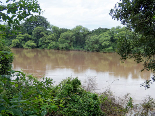 River Gambia full of water