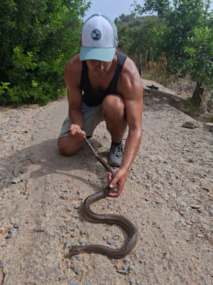 César con la primera culebra de escalera recién rescatada