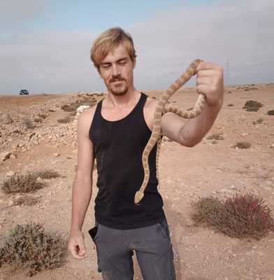 Max with a big diadem snake