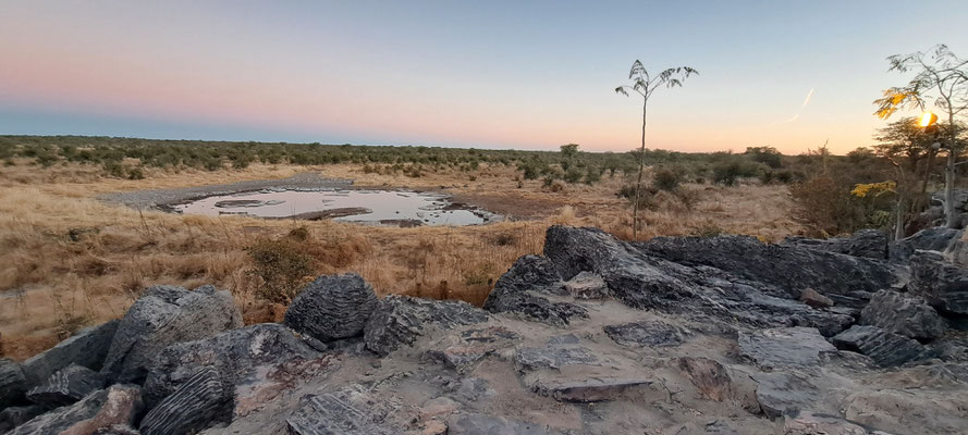 Halali waterhole at sunset