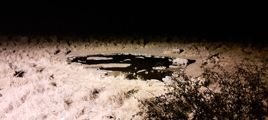 Halali waterhole at night, with some rhinos. Phone pic without any optics.