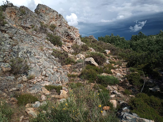 Rocky habitat in Montes de León