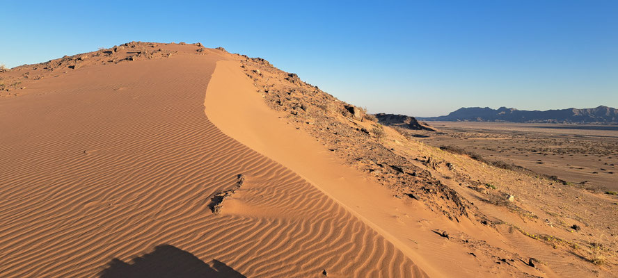 Sandy habitat near Rosh Pinah