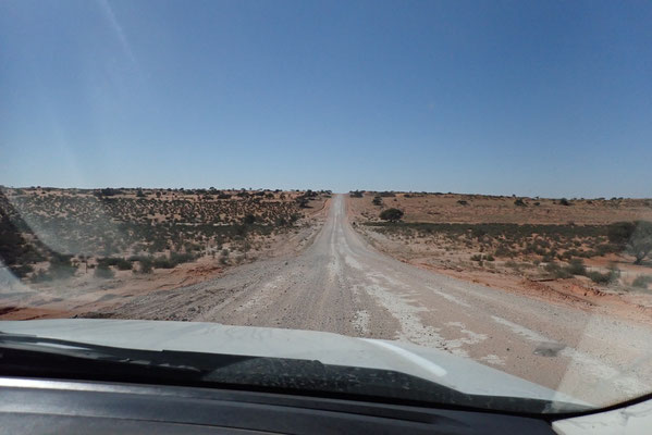 Kalahari roadcruising