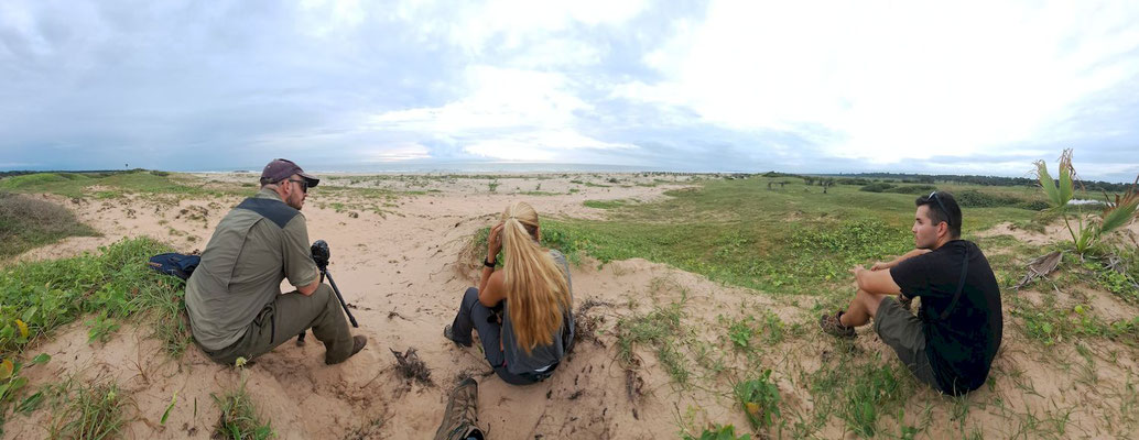 Enjoying the beach, moments before being disturbed by a random guy