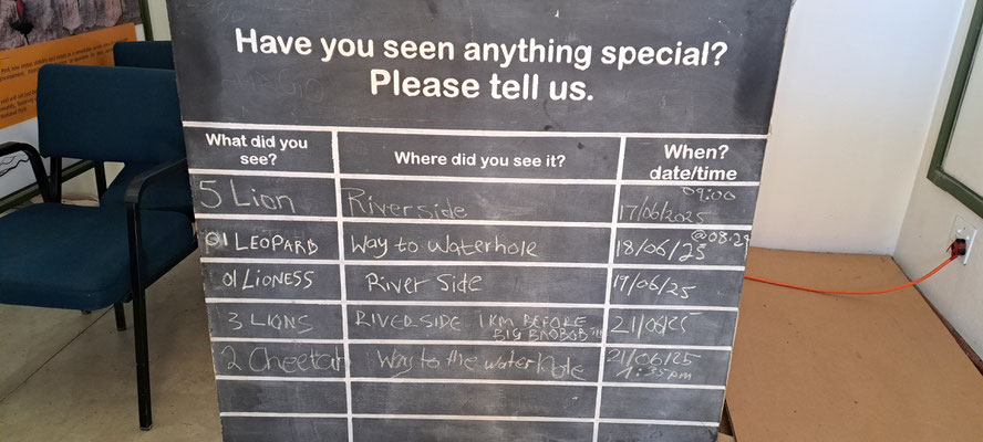 This boards are on every park entrance, and are helpful to know where the animals are. This one is from the Mahango area.