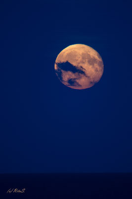 zwei Nächte nach Vollmond, Grömitz August 2025