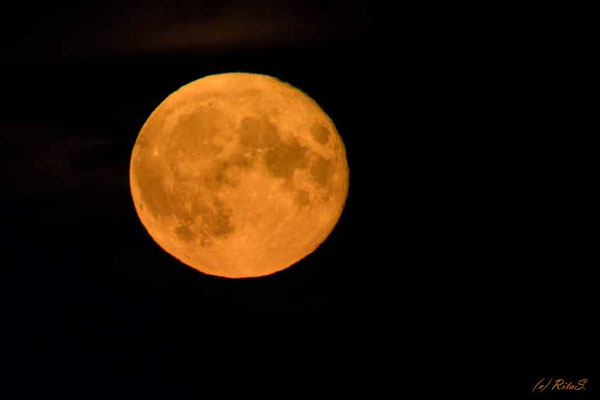 Grömitz August 2023 Vollmond