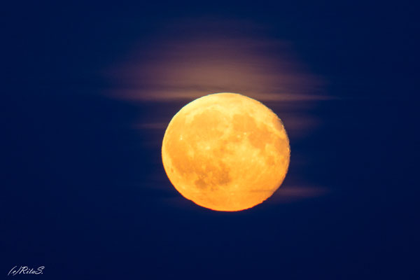 zwei Nächte nach Vollmond, Grömitz August 2025