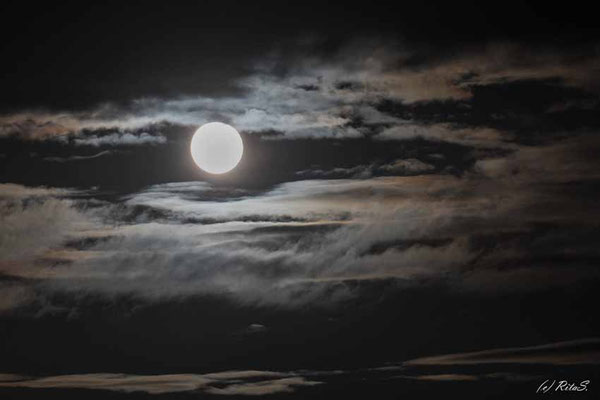 Grömitz August 2023 Vollmond